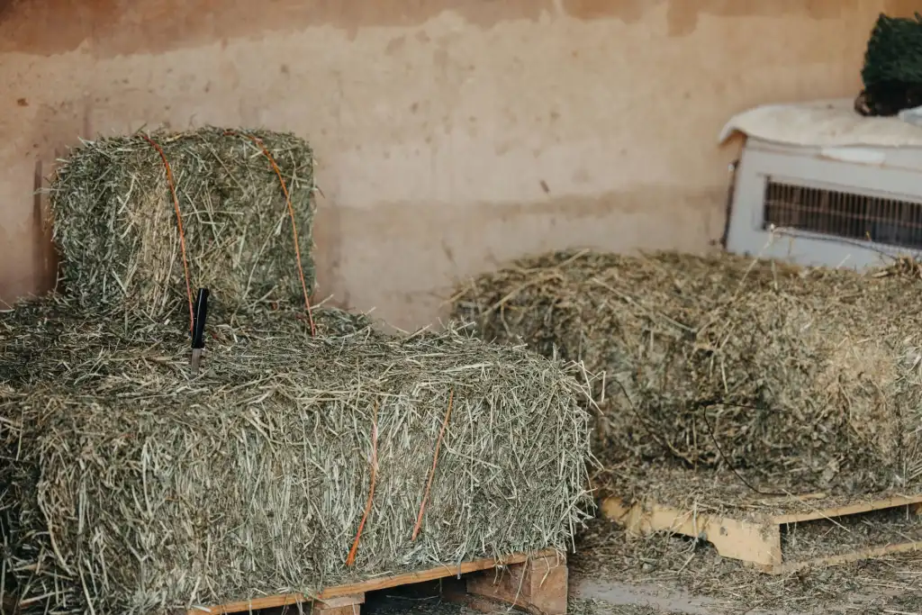 服装服饰批发行业2025年趋势分析与选品策略